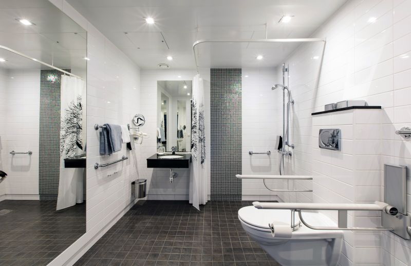 Accessible Bathroom Modifications detail